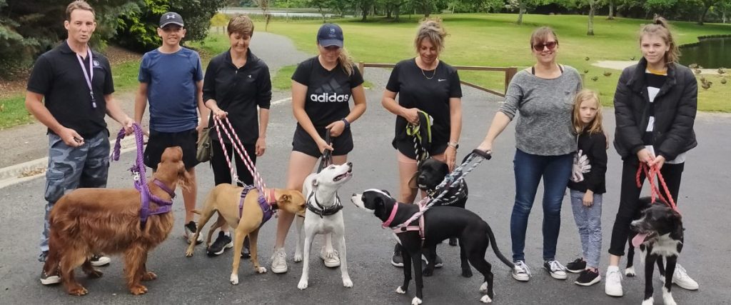 Basic Obedience - Mindful Manners - Mindfulness4dogs Basic Obedience - Mindful Manners - Mindfulness4dogs