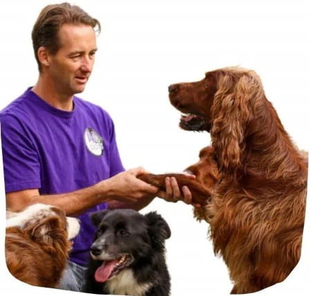 Darran and Dogs - Mindfulness4dogs